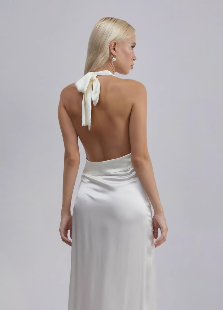 Woman Silk Backless Halter Neck Long Dress CDR033