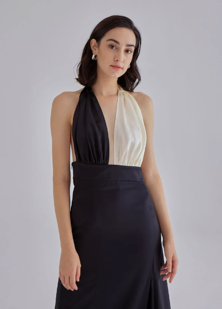 Woman Silk Backless Halter Neck Long Dress CDR033